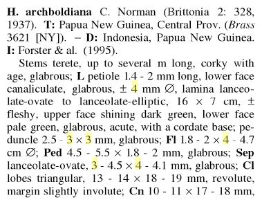Hoya archboldiana 